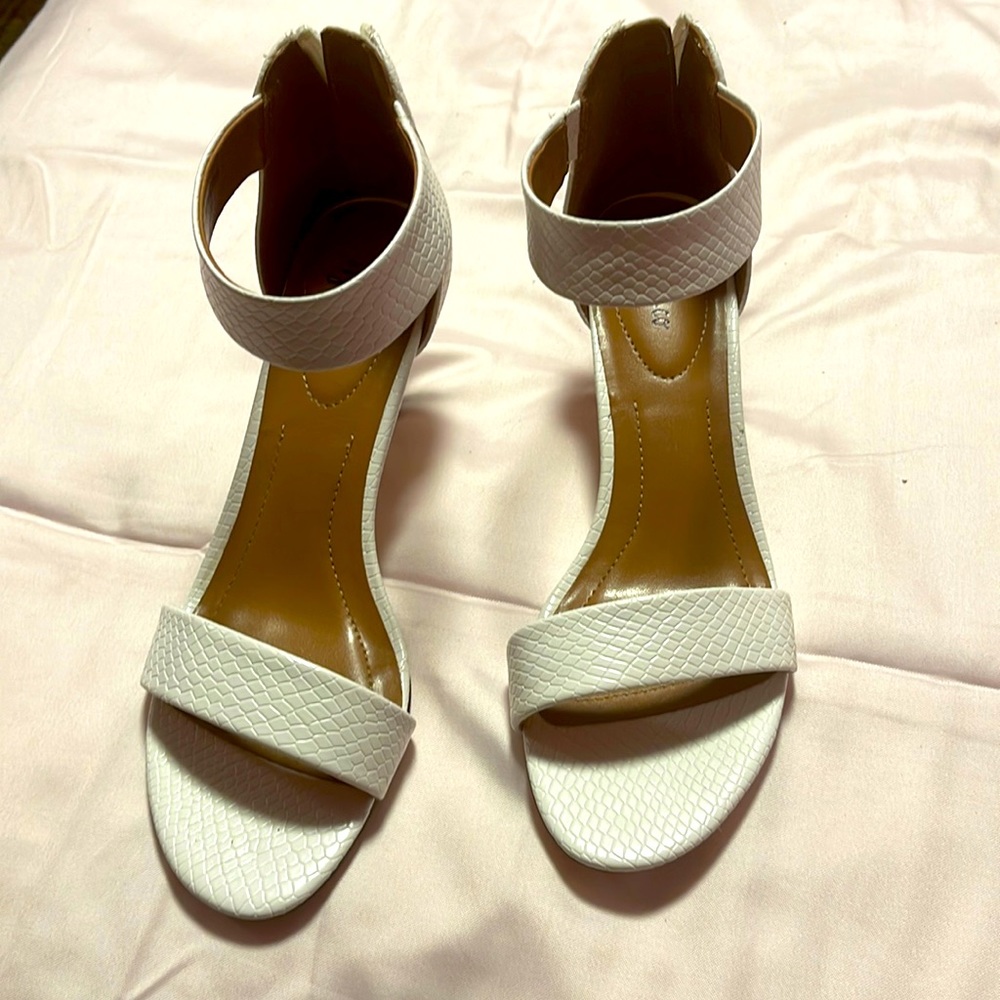 Style CO WS